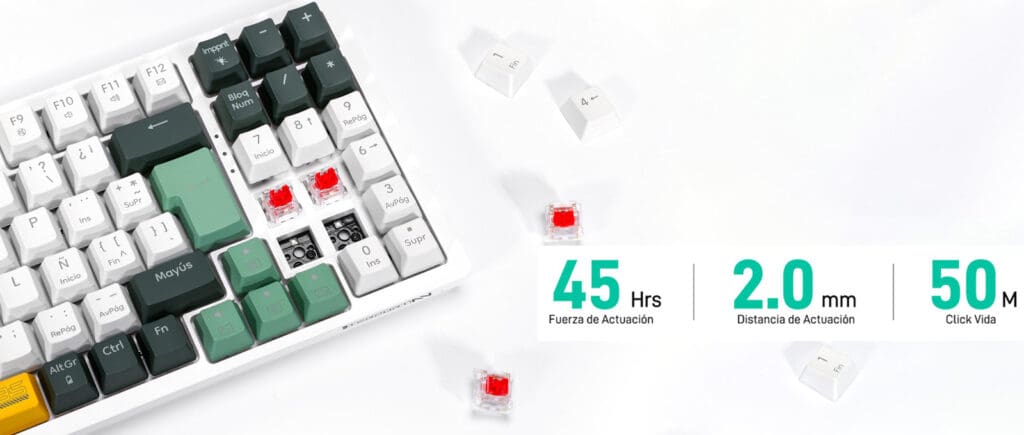 Teclado Gamer Mecánico Terport TR95/Z-94 | 90% | Español | Bluetooth/2.4G Usb/Cableado