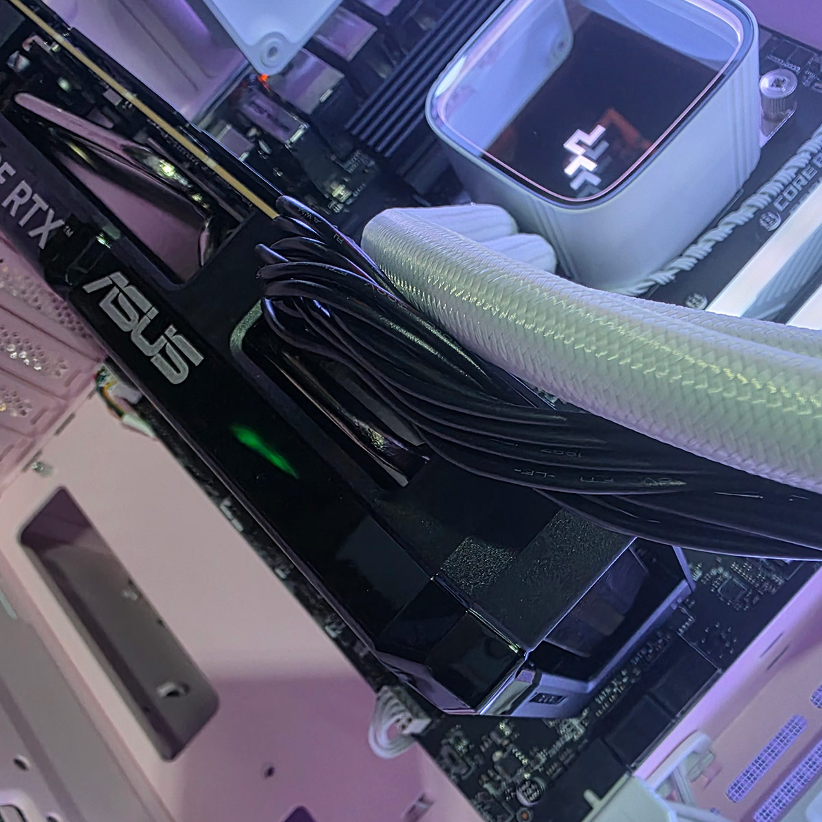 PC Gamer Pink Cougar RTX 5050 - Computadora Gamer y Profesional - Bulltech Store - Tienda en CDMX - Assembled Pro Computer